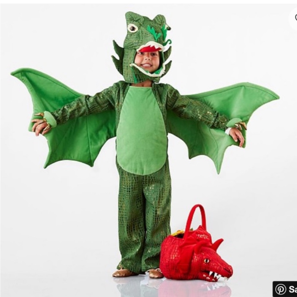 Green Dragon Kids Costume